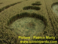 Avebury Stone Circle, Wiltshire crop circle, aerial photo 81